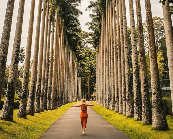 Dream Lanka Holidays