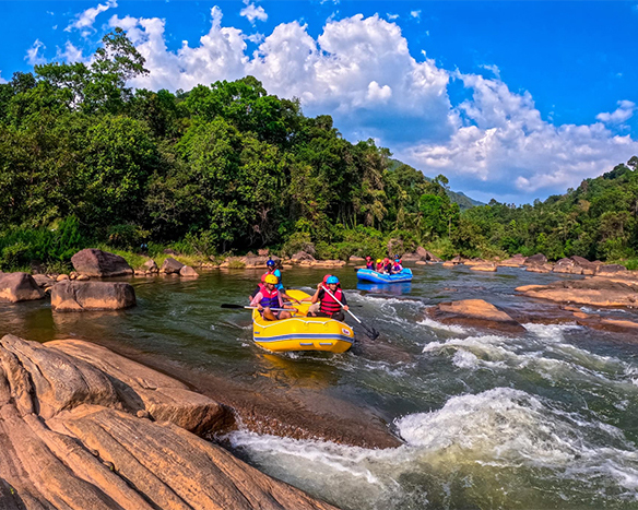 Dream Lanka Holidays