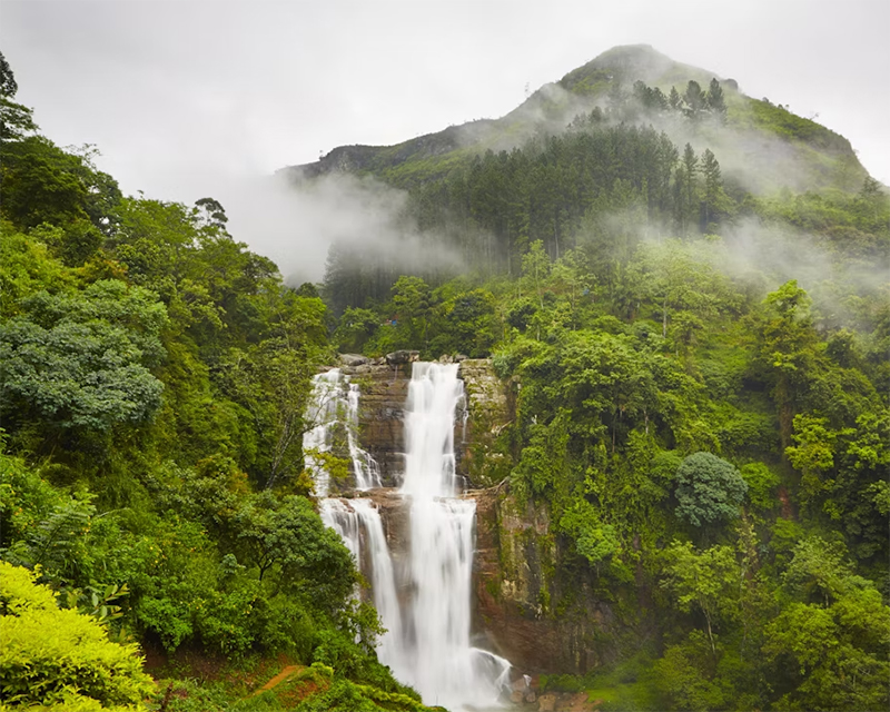 Dream Lanka Holidays