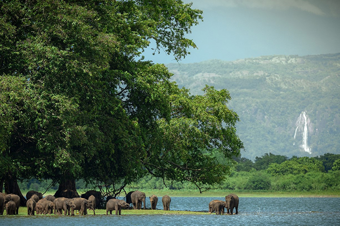 Dream Lanka Holidays