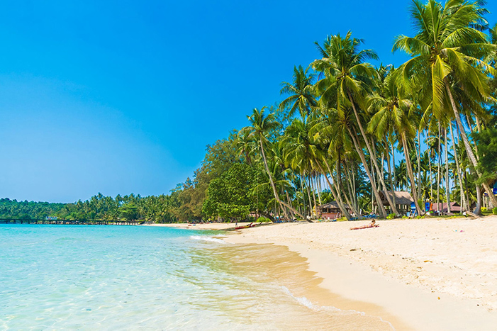 Dream Lanka Holidays