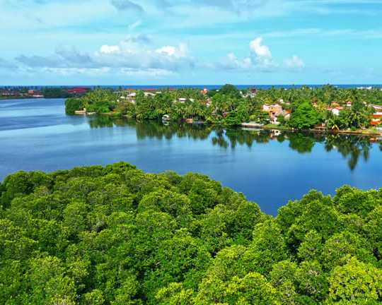 Dream Lanka Holidays