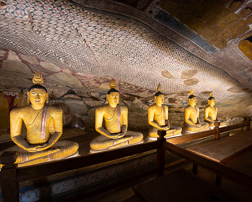 Dream Lanka Holidays