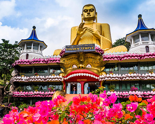 Dream Lanka Holidays