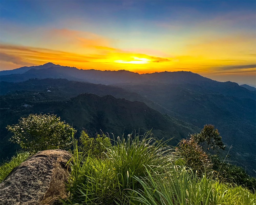 Dream Lanka Holidays