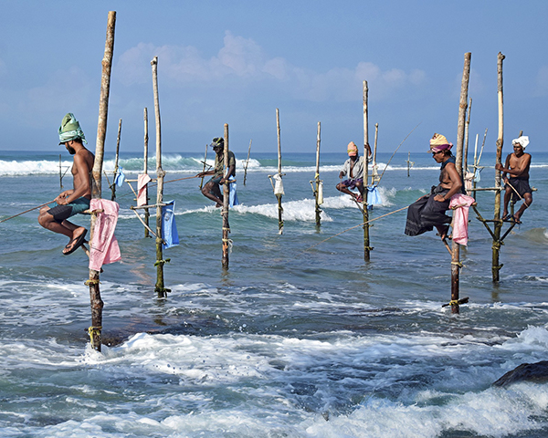 Dream Lanka Holidays