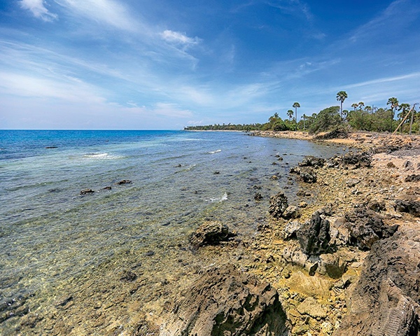 Dream Lanka Holidays