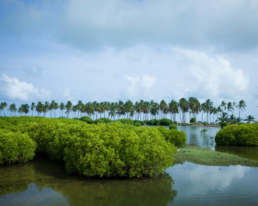 Dream Lanka Holidays
