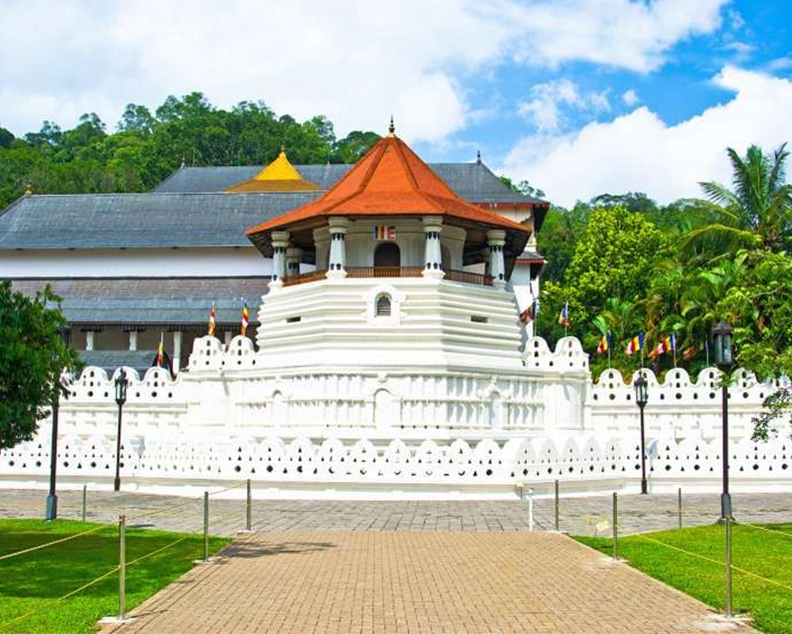 Dream Lanka Holidays