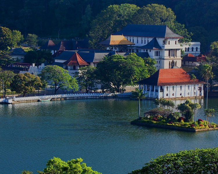 Dream Lanka Holidays