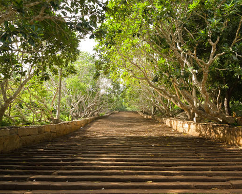 Dream Lanka Holidays