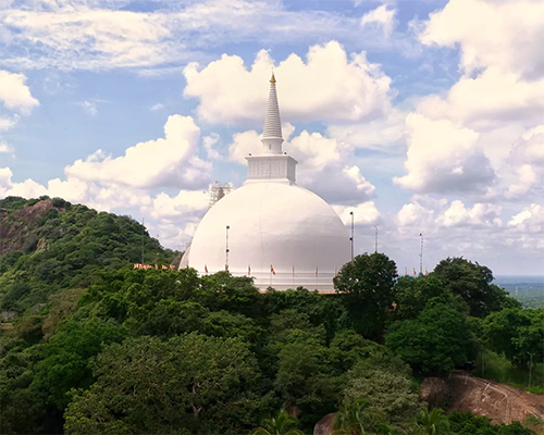 Dream Lanka Holidays