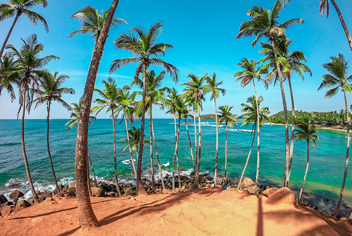 Dream Lanka Holidays