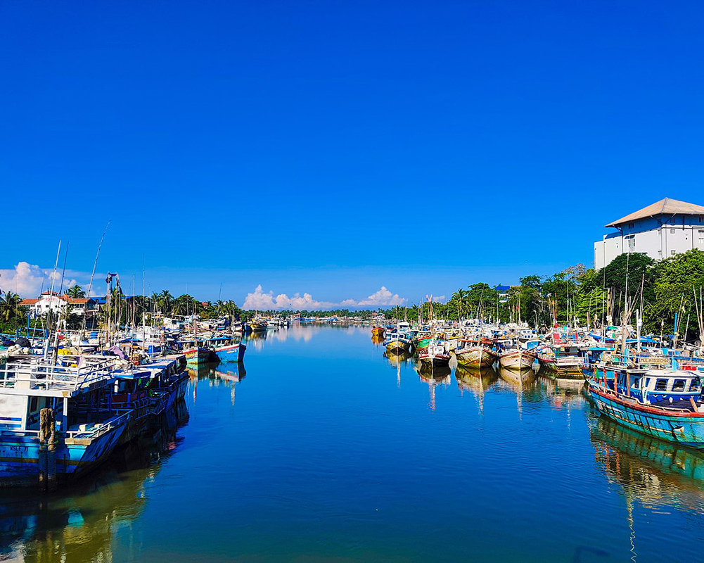 Dream Lanka Holidays