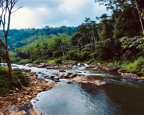 Dream Lanka Holidays