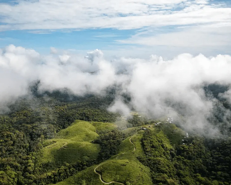 Dream Lanka Holidays