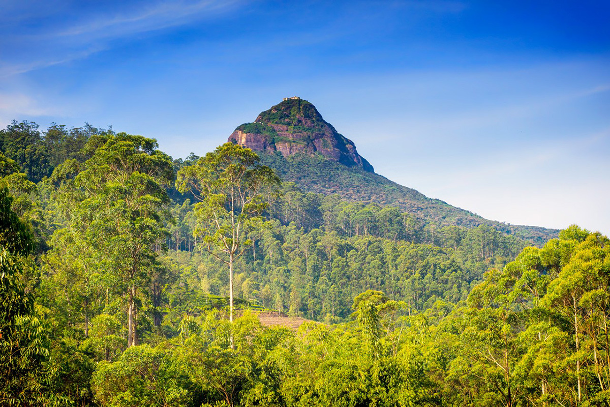 Dream Lanka Holidays