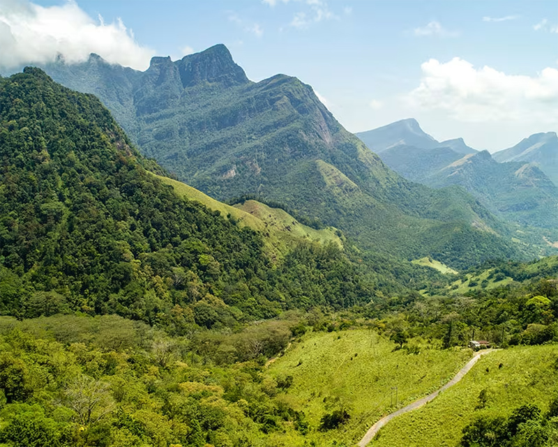 Dream Lanka Holidays