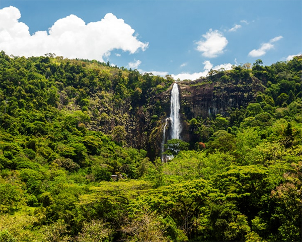 Dream Lanka Holidays