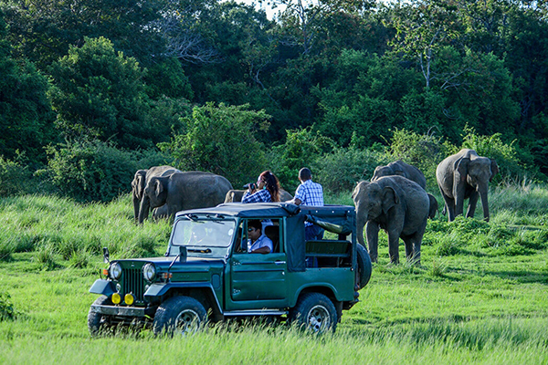 Dream Lanka Holidays
