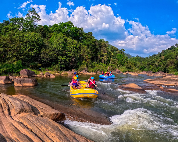 Dream Lanka Holidays