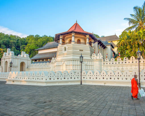 Dream Lanka Holidays