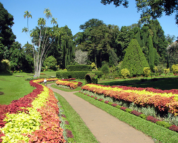 Dream Lanka Holidays