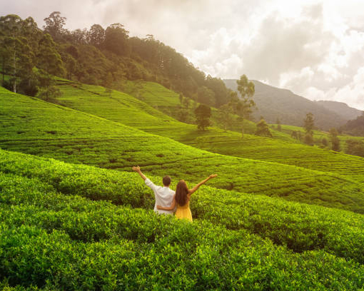 Dream Lanka Holidays