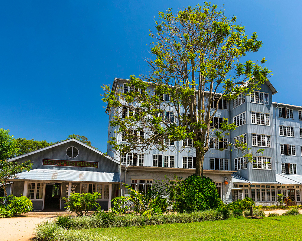 Dream Lanka Holidays