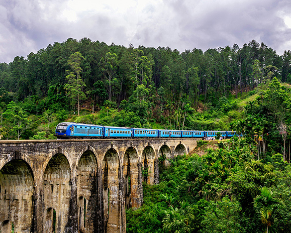 Dream Lanka Holidays