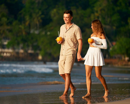 Dream Lanka Holidays