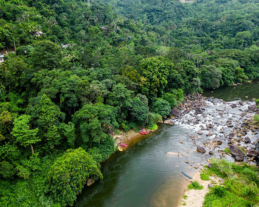 Dream Lanka Holidays