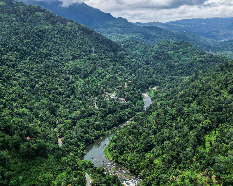 Dream Lanka Holidays