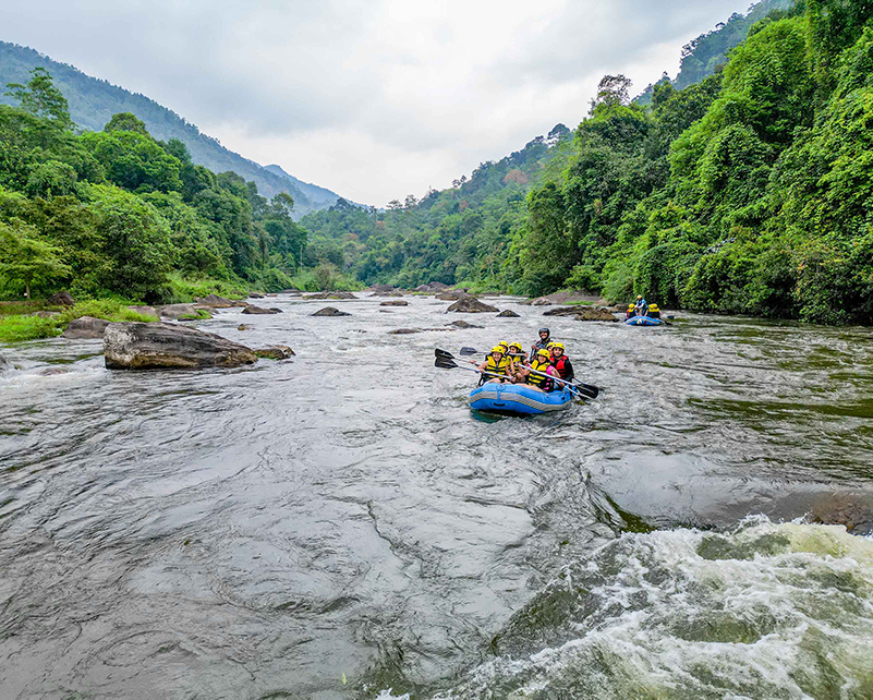 Dream Lanka Holidays