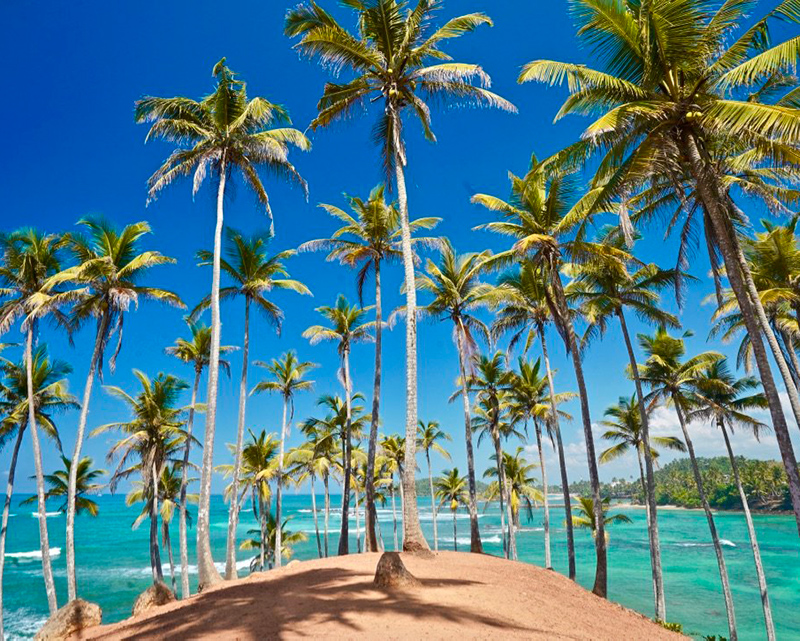 Dream Lanka Holidays