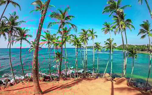 Dream Lanka Holidays