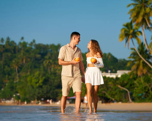 Dream Lanka Holidays