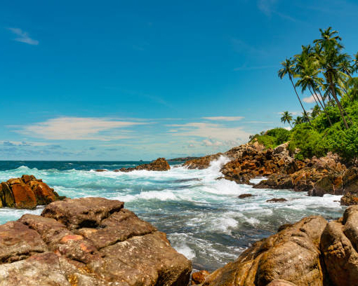 Dream Lanka Holidays