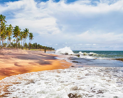 Dream Lanka Holidays