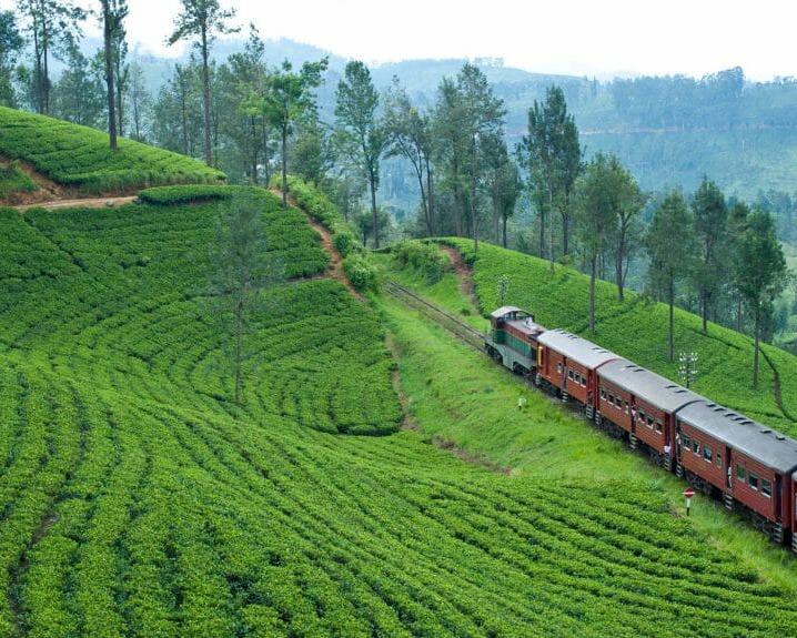 Dream Lanka Holidays