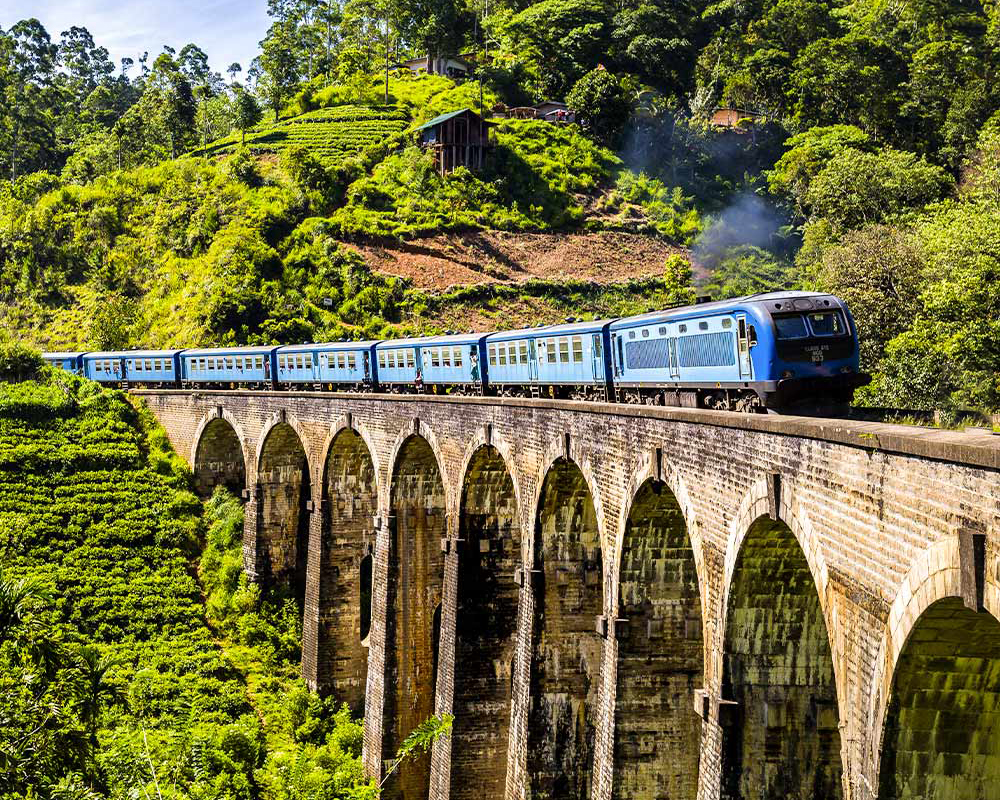 Dream Lanka Holidays