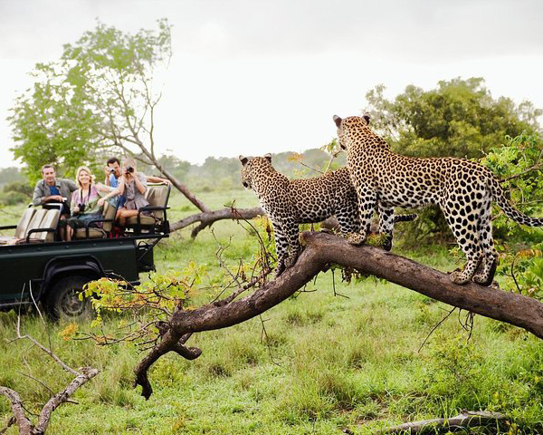 Dream Lanka Holidays
